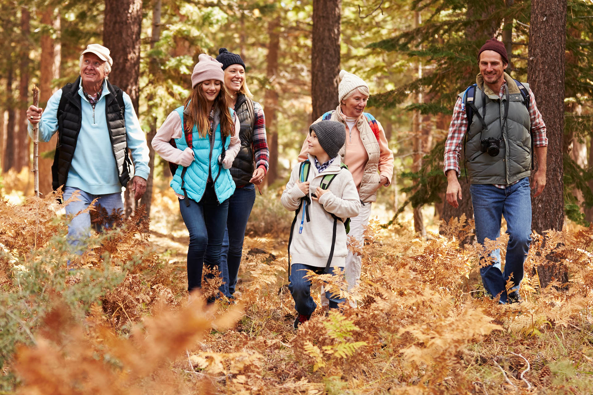 Golden Summit Wealth Your Summit